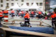 DKT 2022 - Malteser Rettungshundestaffel aus Rottenburg