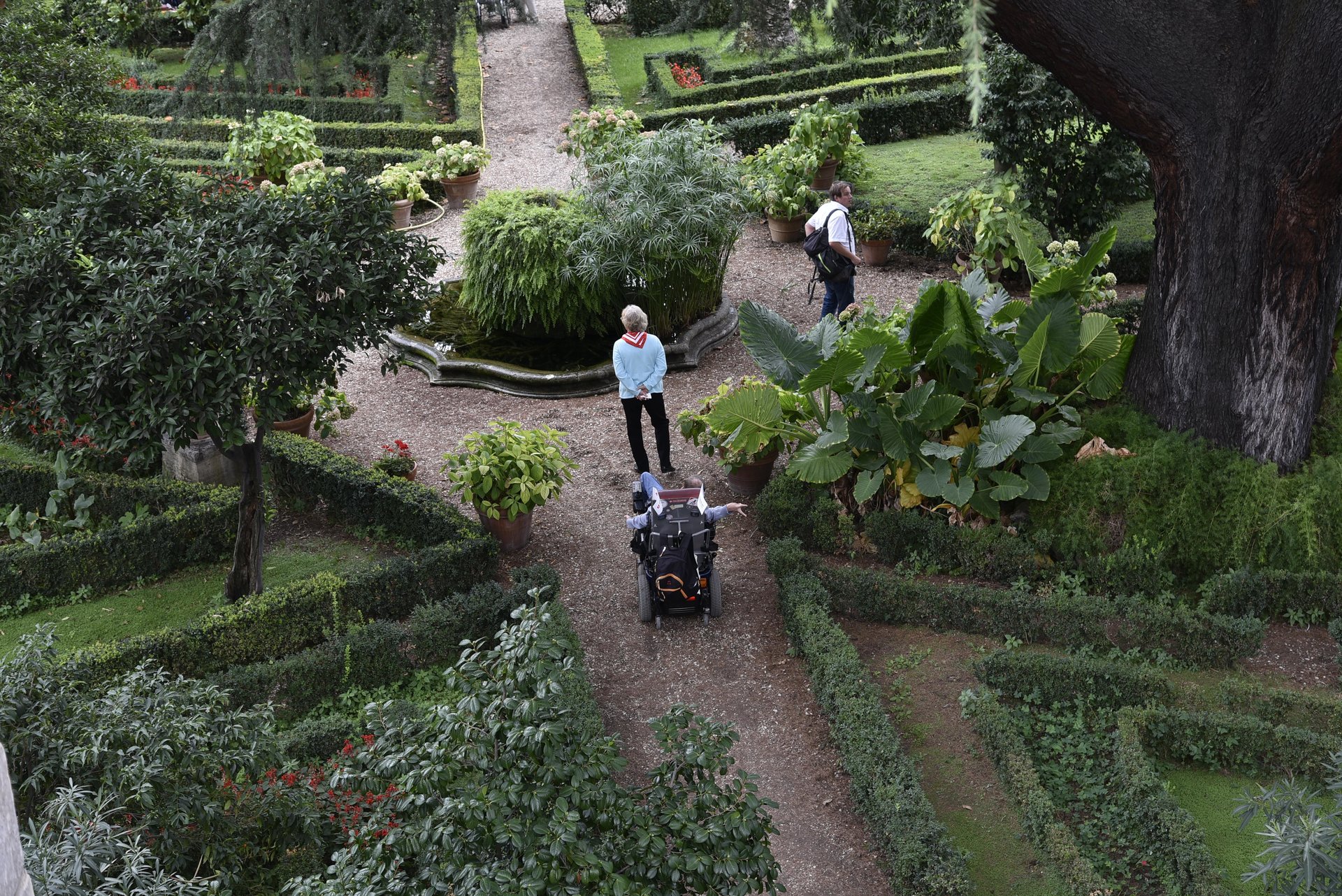 38+ schön Vorrat Mediathek Garten / Mdr Garten Ard